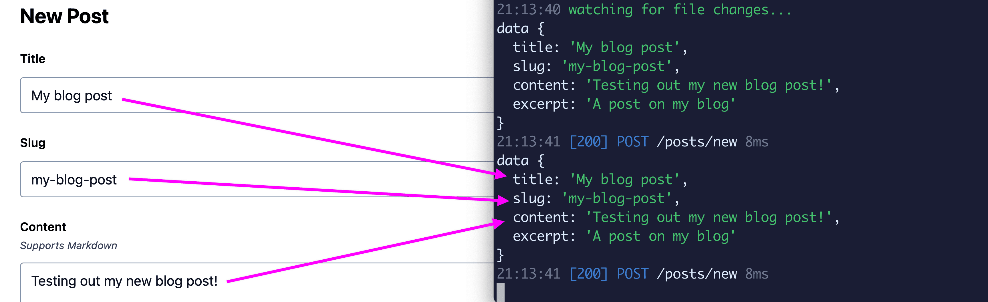 Logging out form data into the terminal