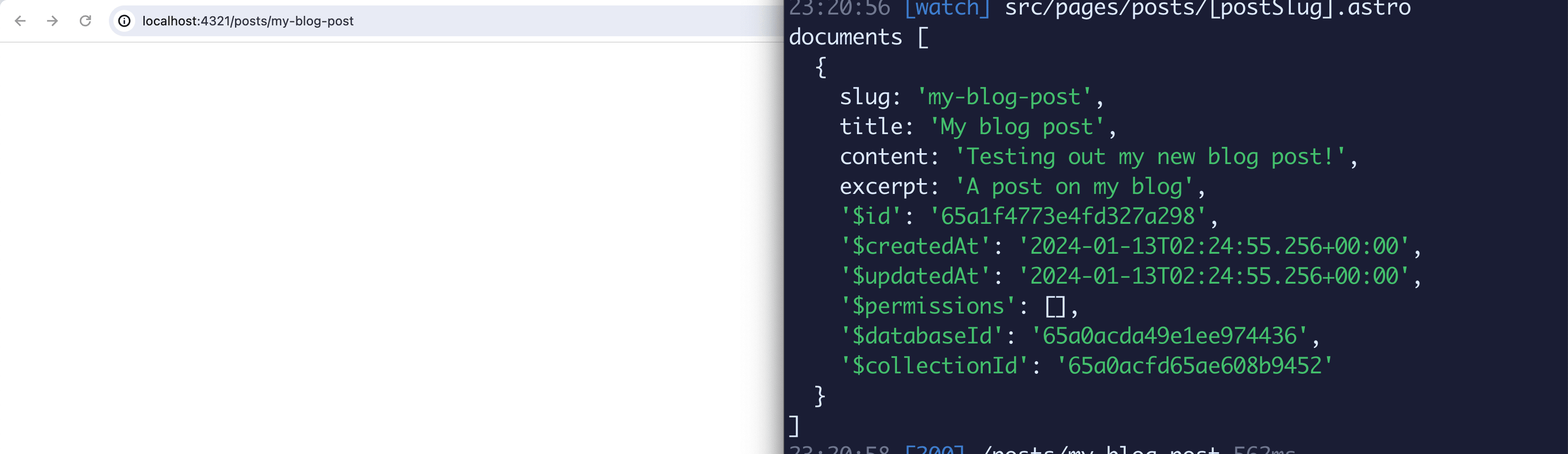 Appwrite document logged to terminal