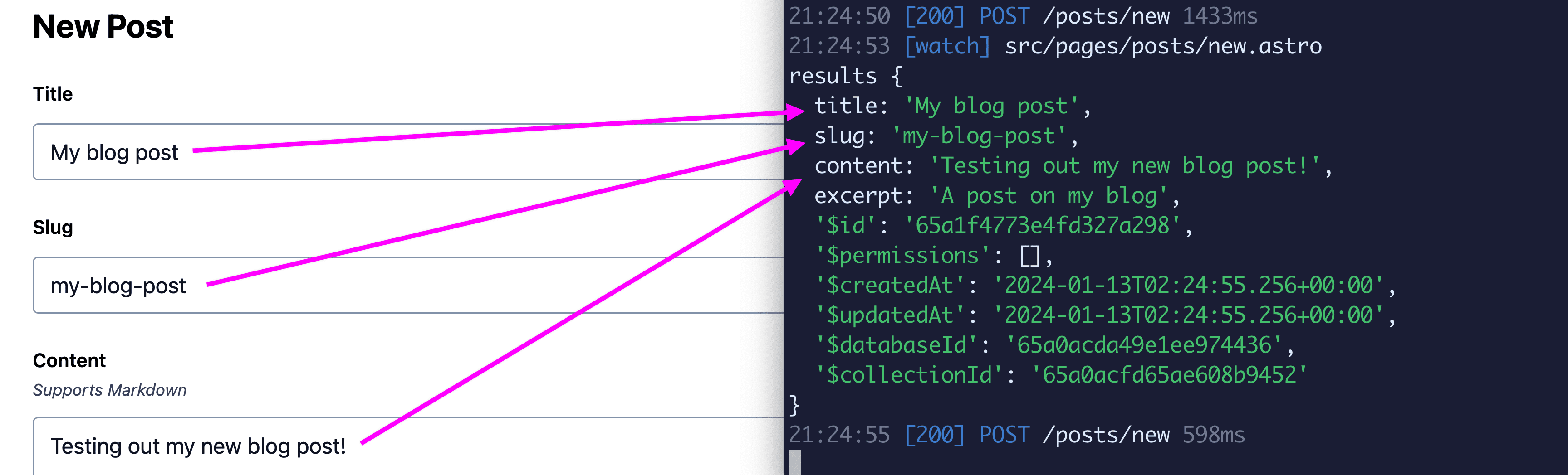 Form input data mapped to successful request data logged to terminal