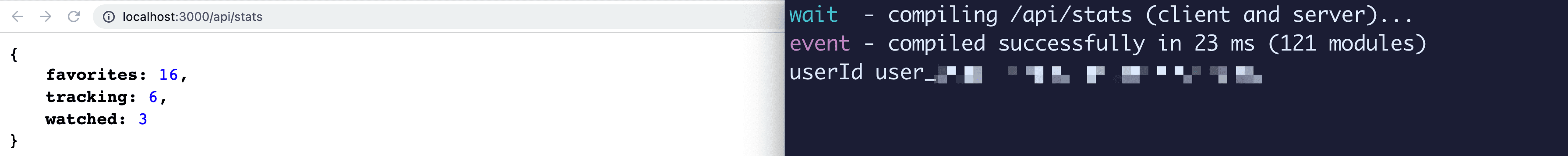 Browser and terminal showing stats API with user ID