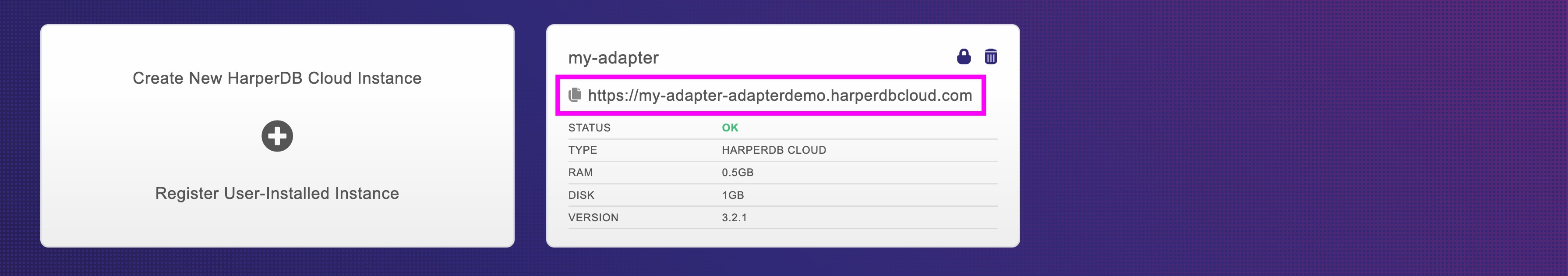 Highlighted database instance URL
