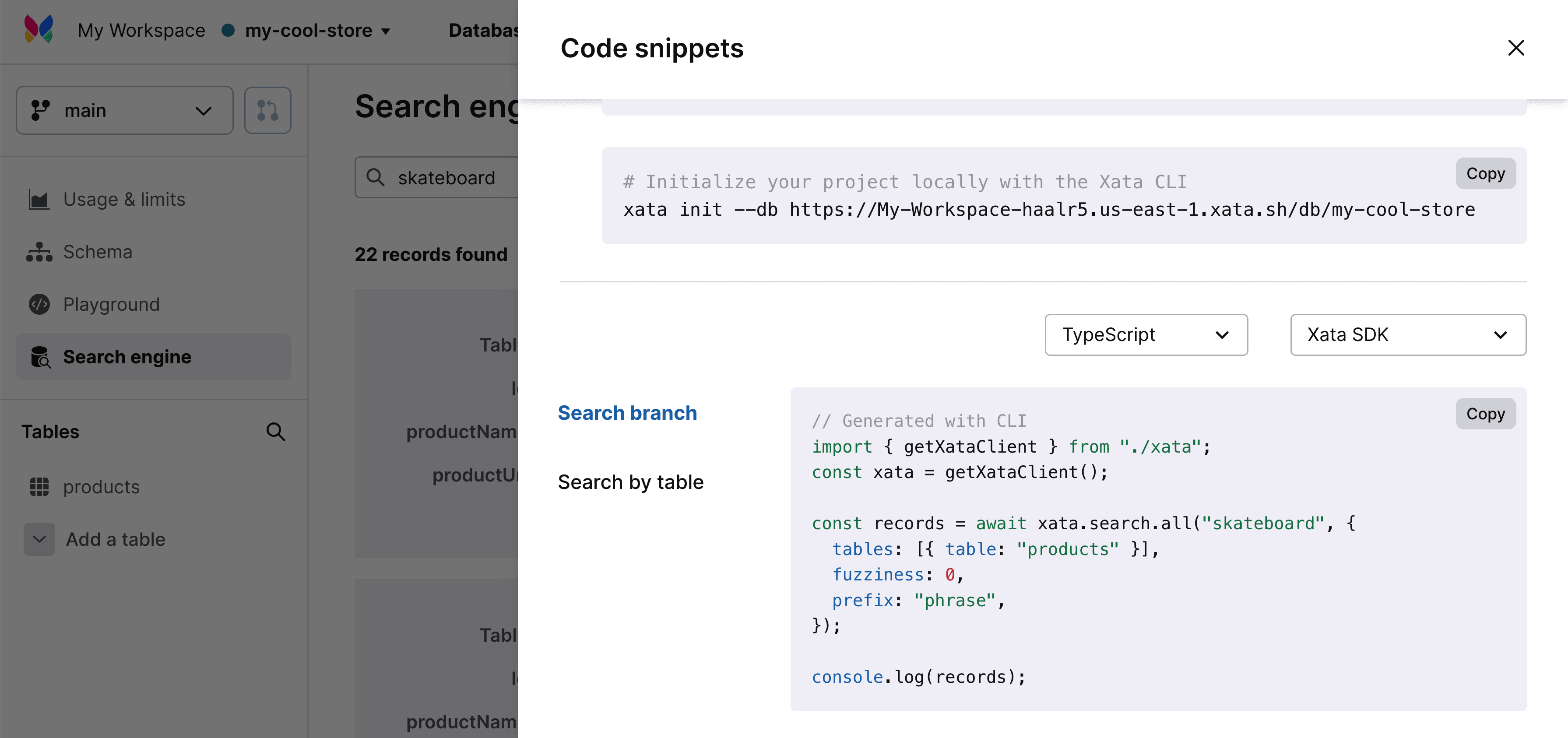Code snippets panel inside Xata showing search code