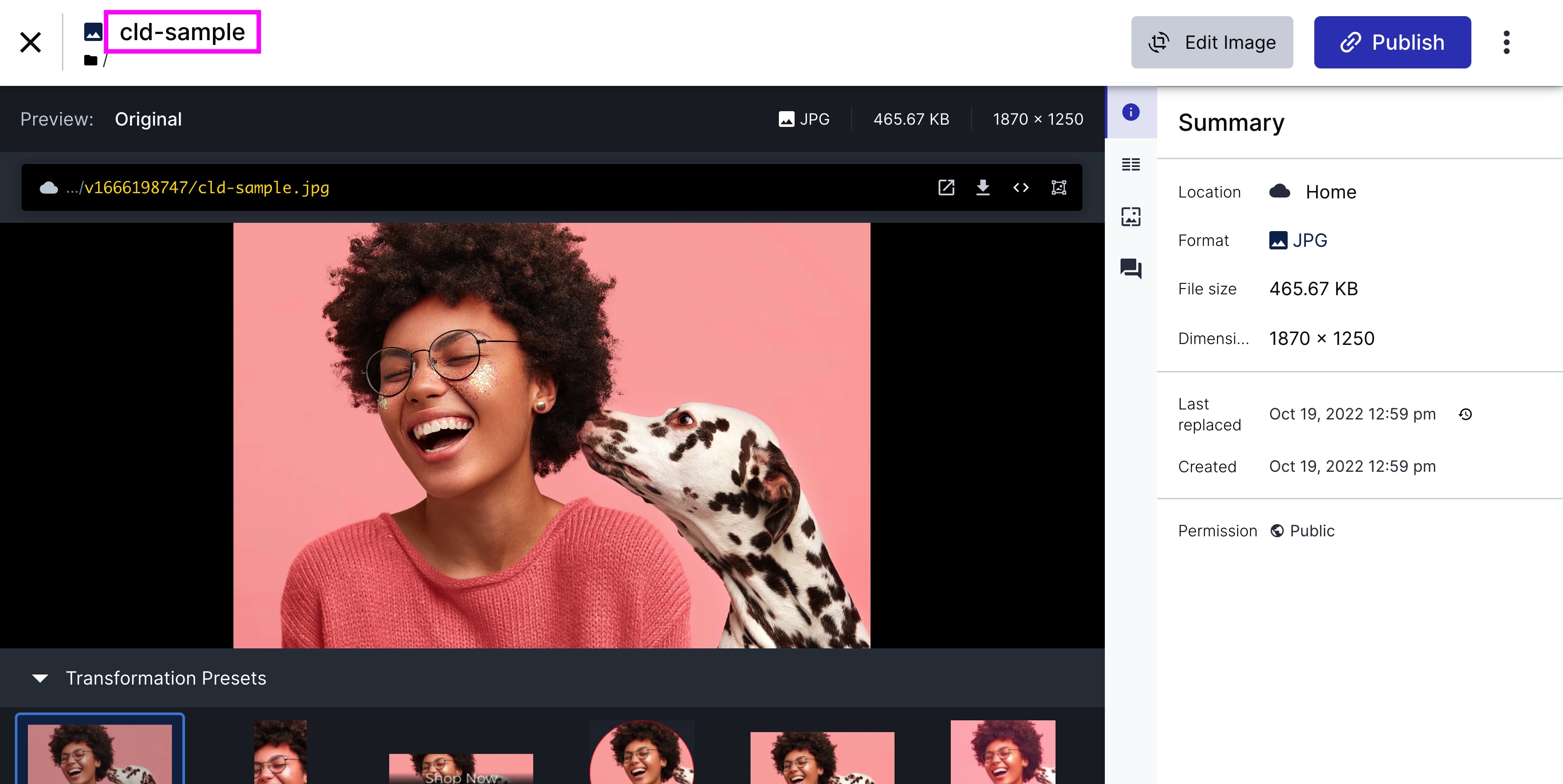 Cloudinary Media Viewer with Public ID highlighted