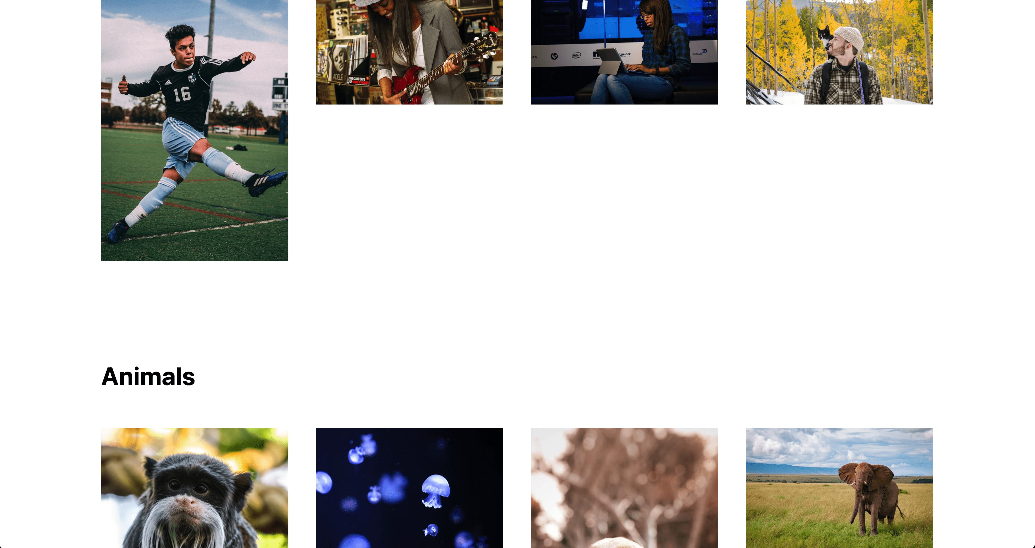 Website showing grid of images including people and animals