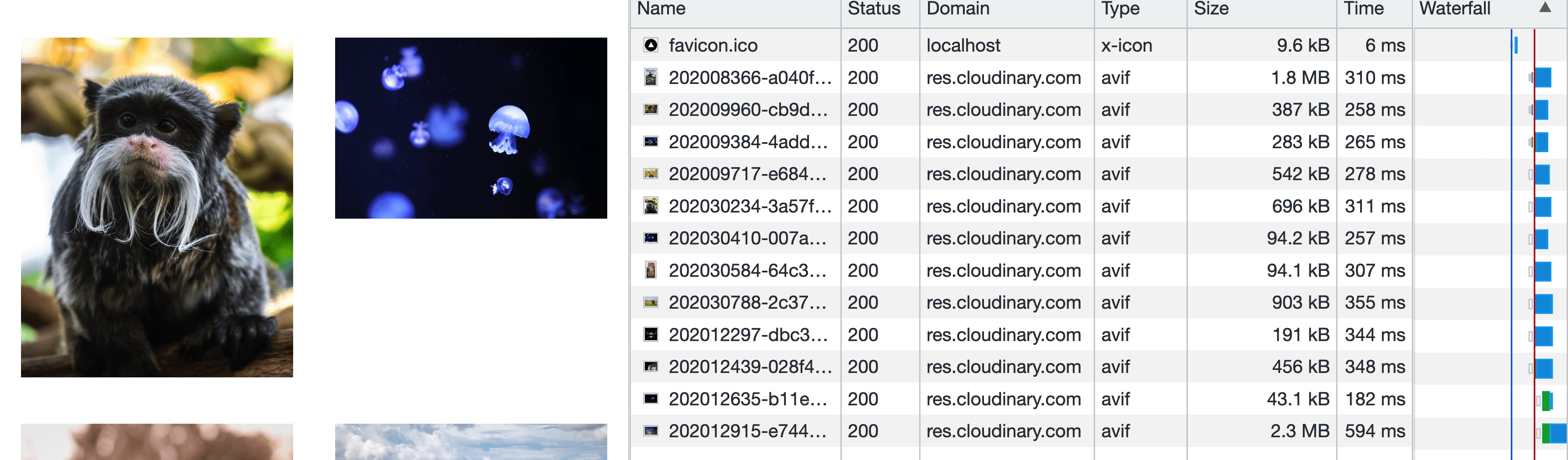 Browser network tab showing images loaded from Cloudinary