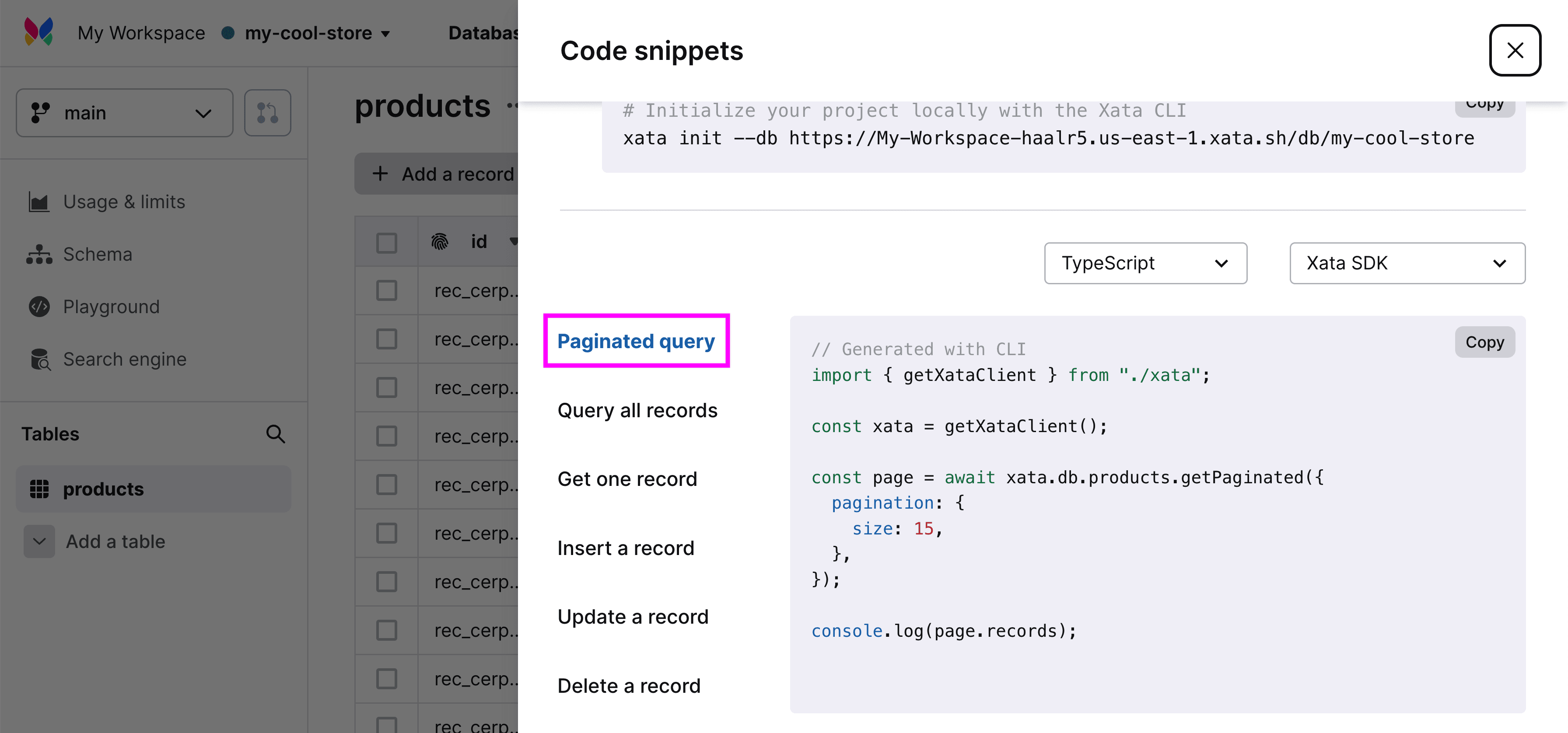 Xata Code snippets with highlighted snippet and paginated query title