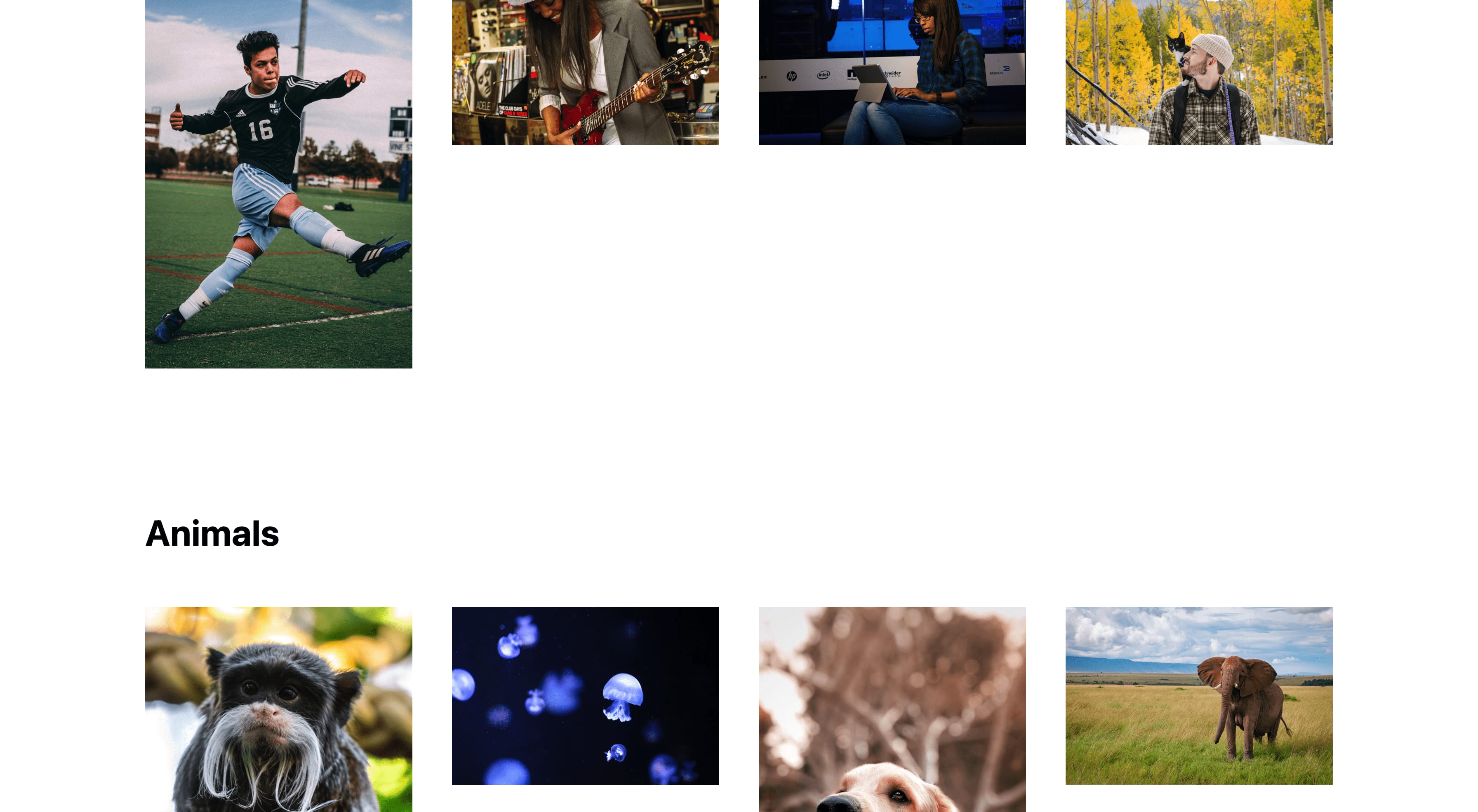 Grid of images loaded from Cloudinary