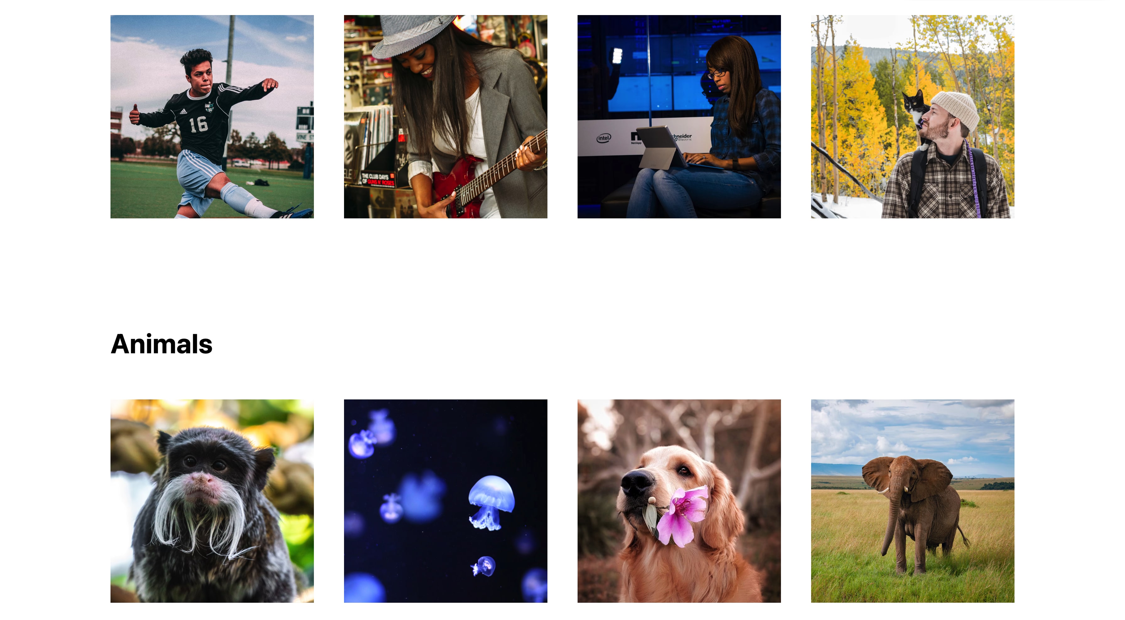 Image gallery showing all square images