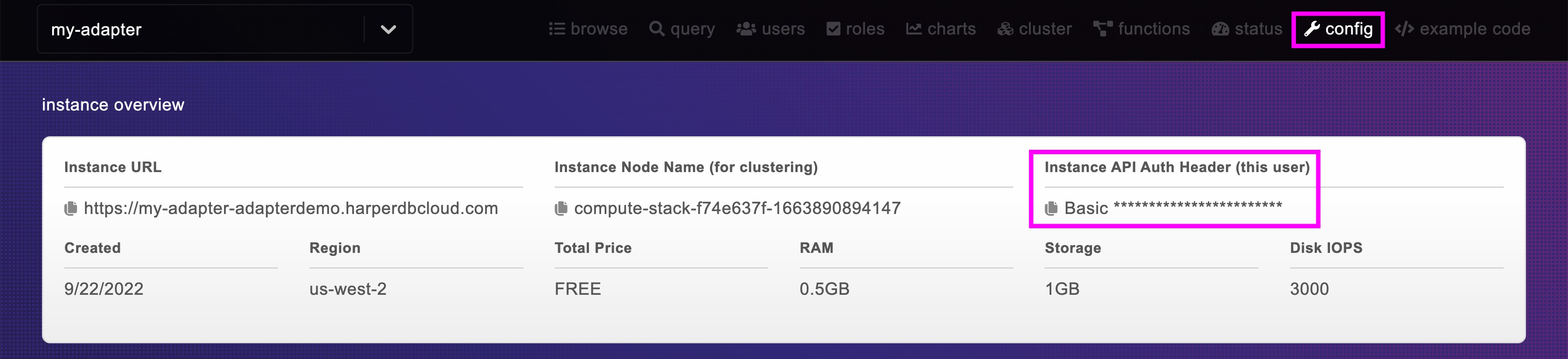 Highlighted instance API key