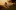 Event Collection Header