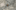 Brand Teaser