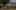 Brand Teaser