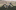 Brand Teaser