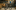 Brand Teaser