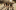 Brand Teaser