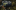 Event Collection Header