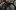Event Collection Header