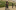 Brand Teaser