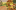 Event Collection Header