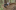 Brand Teaser