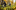 Event Collection Header
