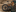 Content Block Gallery