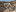 Content Block Gallery