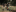 Event Collection Gallery
