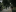Event Collection Gallery