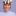 Host Image