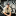 Host Image