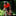 Host Image
