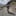 Host Image