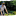 Host Image