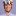 Host Image