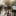 RAD RACE X CANYON DOPAMINE ROAD TOUR 2026* KIEL