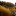 Event Collection Header