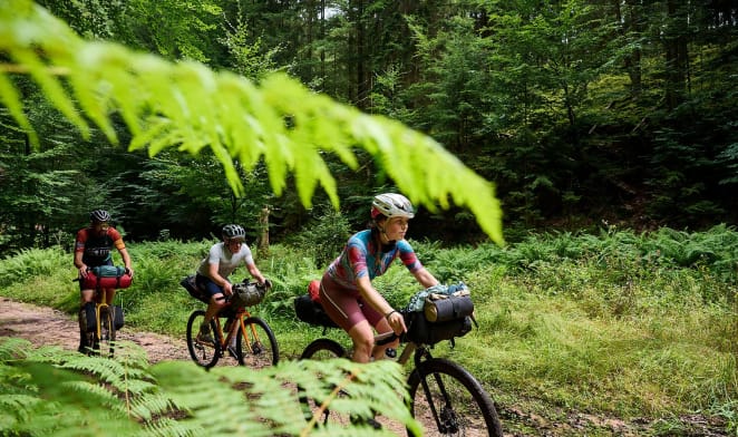 Zweitägige Bike-Genusstour durch den Schwarzwald