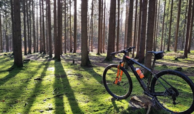 Monte Riso Trails
