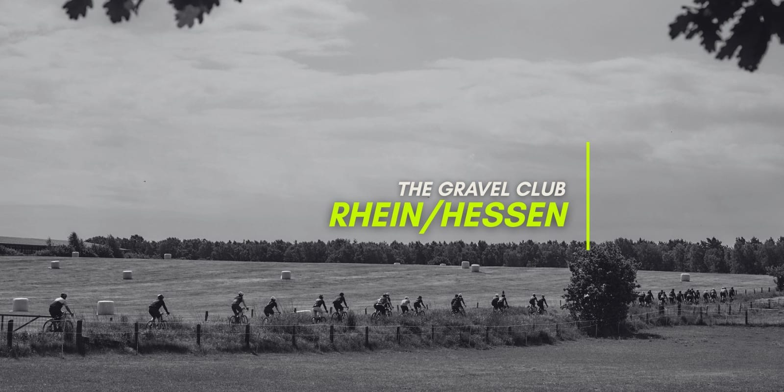 Event Collection Header