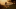 Event Collection Header