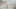 Brand Header