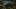 Event Collection Header