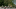 Brand Header