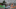 Event Collection Header