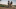 Brand Header
