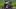 Brand Header