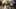 Event Collection Header