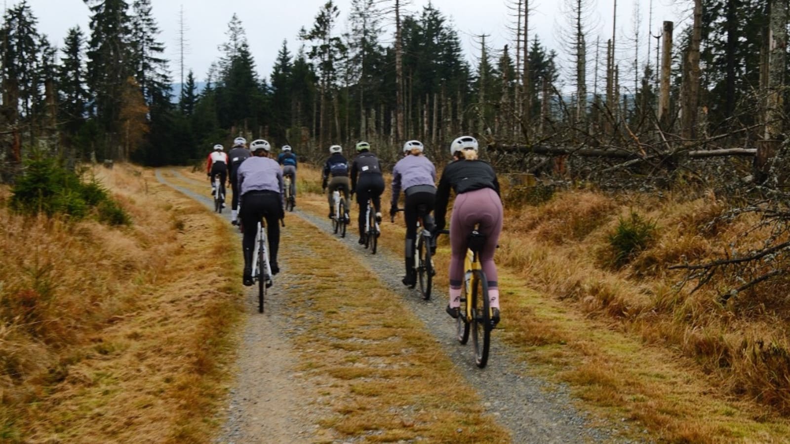 Fritz Brauser - Rose Circle Bocholt - Biketown GRAVEL