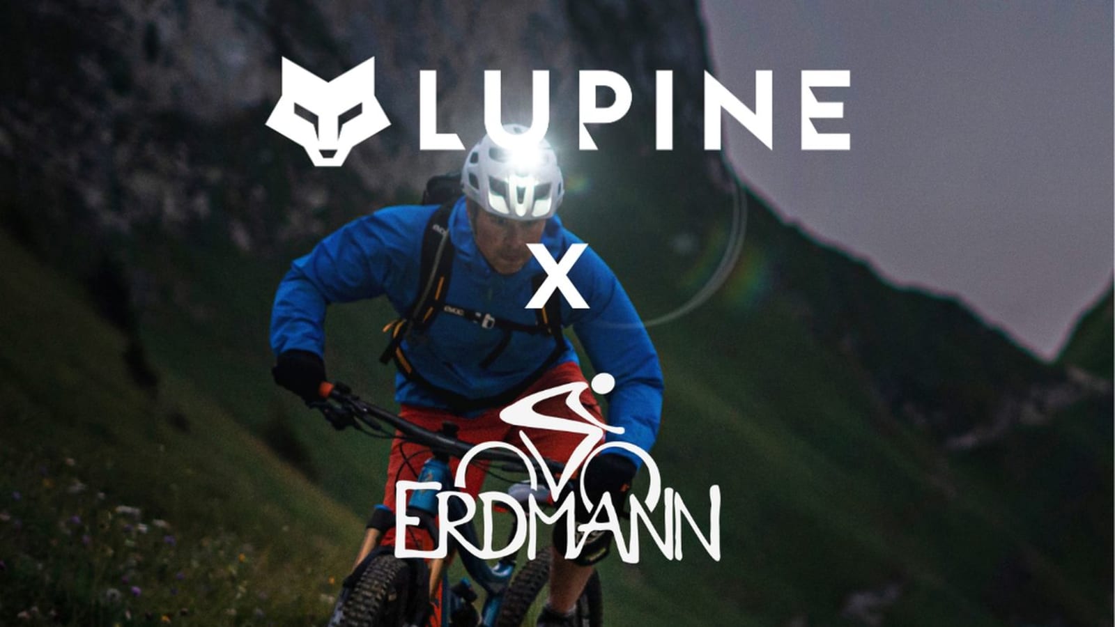 LUPINE NIGHTRIDE - ROAD